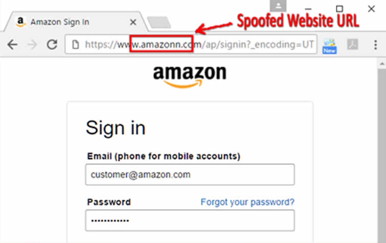 web phishing, domain spoofing