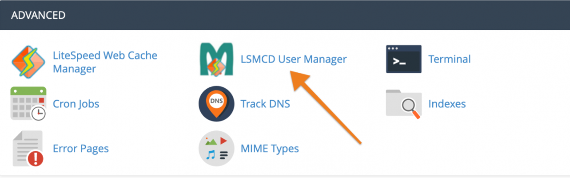 Apa itu Litespeed Memcached
