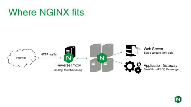 apa itu nginx