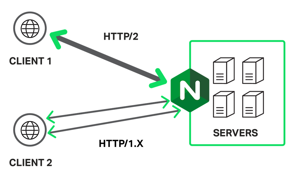 apa itu nginx